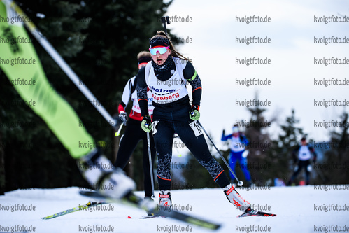 10.02.2019, xkvx, Biathlon, Deutschlandpokal Altenberg, Verfolgung, v.l. DINGELSTEDT Josephine