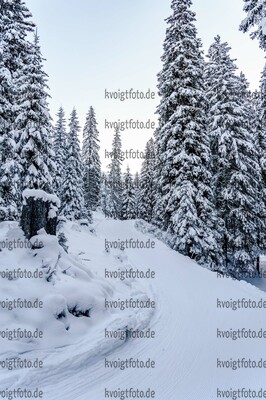06.11.2021, xmlx, Biathlon - Langlauf Training Davos, v.l. Feature / Landschaft  