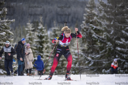 13.11.2021, xkvx, Season Opening Sjusjoen - Sprint Women, v.l. Ragnhild Femsteinevik (Norway)  