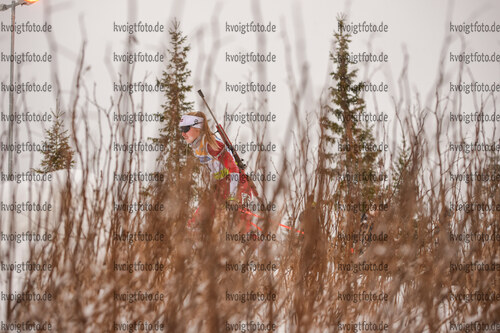03.12.2021, xetx, Biathlon IBU Cup Sjusjoen, Sprint Women, v.l. Sandra Bulina (LATVIA)  / 