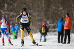 29.01.2017, xkvx, Wintersport, DSV Biathlon Deutschlandpokal Verfolgung v.l. HAMPE Tim