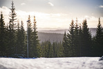 11.11.2021, xkvx, Biathlon Training Sjusjoen, v.l. Feature / Landschaft  