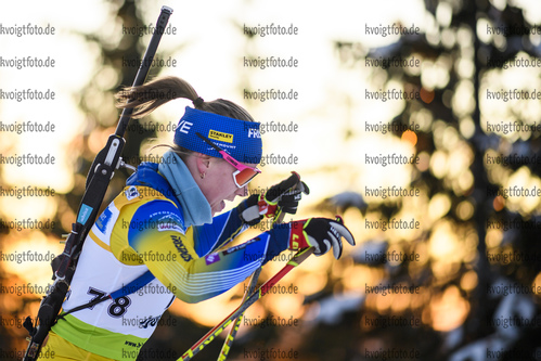 30.11.2019, xkvx, Biathlon IBU Sjusjoen, Sprint Frauen, v.l. Chardine Sloof (Sweden) in aktion / in action competes