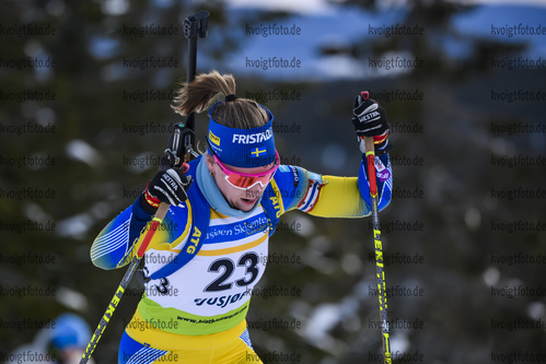 01.12.2019, xkvx, Biathlon IBU Cup Sjusjoen, Verfolgung Frauen, v.l. Chardine Sloof (Sweden) in aktion / in action competes
