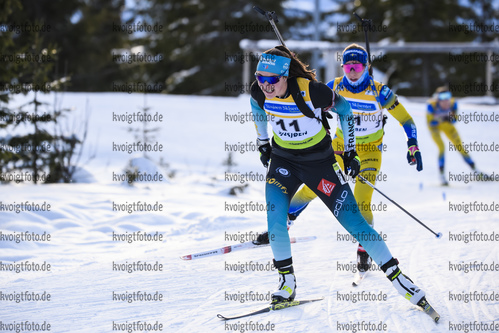 01.12.2019, xkvx, Biathlon IBU Cup Sjusjoen, Verfolgung Frauen, v.l. Camille Bened (France) in aktion / in action competes