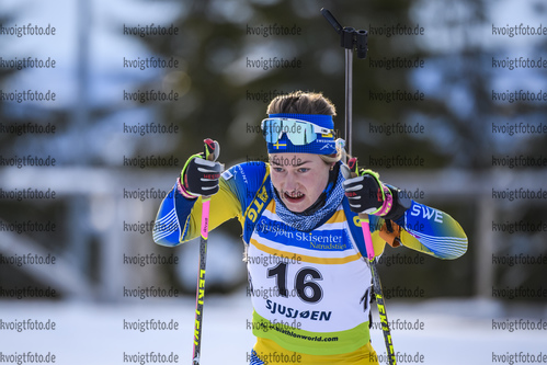 01.12.2019, xkvx, Biathlon IBU Cup Sjusjoen, Verfolgung Frauen, v.l. Anna Hedstrom (Sweden) in aktion / in action competes