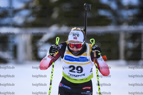 01.12.2019, xkvx, Biathlon IBU Cup Sjusjoen, Verfolgung Frauen, v.l. Hilde Fenne (Norway) in aktion / in action competes