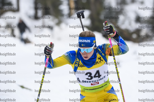 18.12.2019, xkvx, Biathlon IBU Cup Obertilliach, Short Individual Damen, v.l. Anna Hedstrom (Sweden) in aktion / in action competes