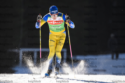 22.01.2019, xkvx, Biathlon IBU Weltcup Pokljuka, Training Damen und Herren, v.l. Jesper Nelin (Sweden) in aktion / in action competes