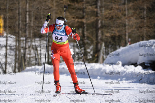 08.02.2020, xkvx, Biathlon IBU Cup Martell, Sprint Damen, v.l. Gillian Gowling (Canada) in aktion / in action competes