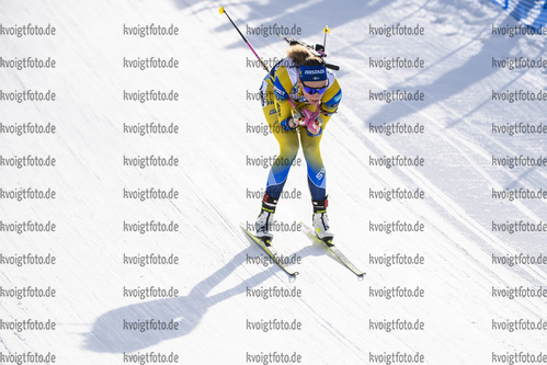 16.02.2020, xkvx, Biathlon IBU Weltmeisterschaft Antholz, Verfolgung Damen, v.l. Hanna Oeberg (Sweden) in aktion / in action competes