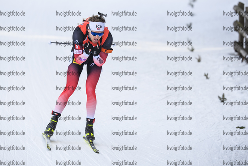 16.02.2020, xkvx, Biathlon IBU Weltmeisterschaft Antholz, Verfolgung Herren, v.l. Tarjei Boe (Norway) in aktion / in action competes