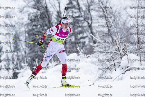 29.01.2021, xtwx, Biathlon IBU European Championships Duszniki Zdroj, Sprint Damen, v.l. Karolina Piton (Poland) in Aktion / in action competes