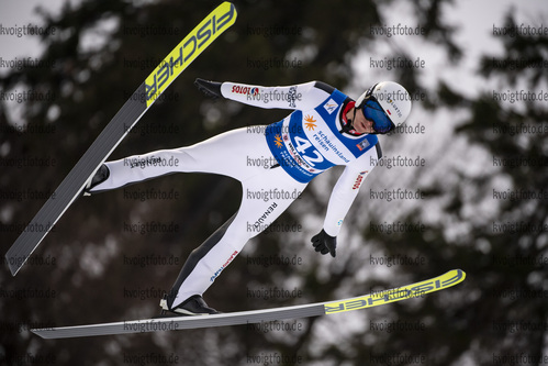 29.01.2021, xtvx, Skispringen FIS Weltcup Willingen, v.l. Andrzej Stekala of Poland  / 