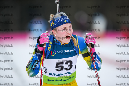 30.01.2021, xtwx, Biathlon IBU European Championships Duszniki Zdroj, Verfolgung Damen, v.l. Annie Lind (Sweden)  /