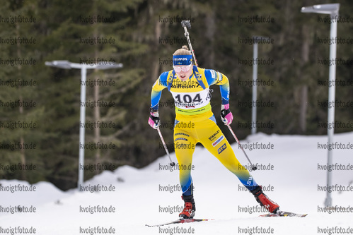 12.03.2020, xkvx, Biathlon IBU Cup Obertilliach, Sprint Damen, v.l. Annie Lind (Sweden)  / 