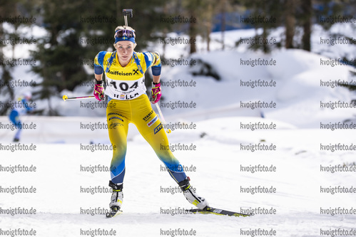 13.03.2020, xkvx, Biathlon IBU Cup Obertilliach, Sprint Damen, v.l. Anna Hedstrom (Sweden)  / 