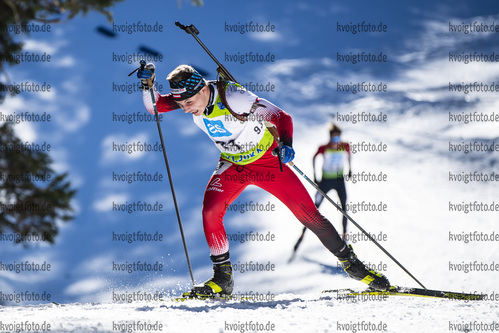 19.12.2021, xsoex, Biathlon Alpencup Pokljuka, Sprint Men, v.l. Jakob Grubmueller  (Austria)  / 