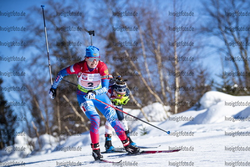 31.01.2021, xtwx, Biathlon IBU European Championships Duszniki Zdroj, Mixed Staffel, v.l. Polina Shevnina (Russia) in Aktion / in action competes