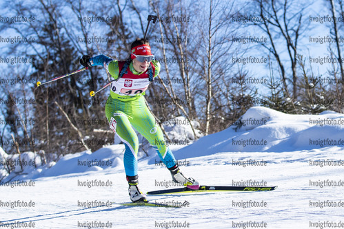 31.01.2021, xtwx, Biathlon IBU European Championships Duszniki Zdroj, Single Mixed Staffel, v.l. Klara Vindisar (Slovenia) in Aktion / in action competes