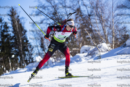 31.01.2021, xtwx, Biathlon IBU European Championships Duszniki Zdroj, Single Mixed Staffel, v.l. Endre Stroemsheim (Norway) in Aktion / in action competes