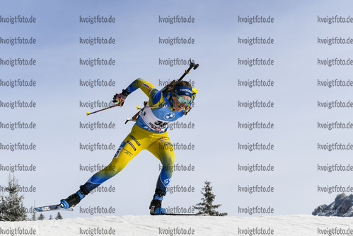 11.12.2020, xadex, Biathlon IBU Weltcup Hochfilzen, Sprint Damen, v.l. v.l. Elvira Oeberg (SWE)  / 

Copyright: EXPA/Adelsberger via VOIGT Fotografie