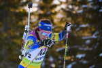 30.11.2019, xkvx, Biathlon IBU Sjusjoen, Sprint Frauen, v.l. Elisabeth Hoegberg (Sweden) in aktion / in action competes