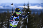 01.12.2019, xkvx, Biathlon IBU Cup Sjusjoen, Verfolgung Frauen, v.l. Irene Lardschneider (Italy) in aktion / in action competes
