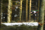 11.01.2020, xkvx, Biathlon DSV Deutschlandpokal Notschrei, Einzel - maennlich, v.l. Stefan Christeler (Switzerland)  / 
