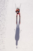 22.02.2020, xkvx, Biathlon IBU Weltmeisterschaft Antholz, Staffel Damen, v.l. Synnoeve Solemdal (Norway) in aktion / in action competes