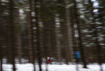 27.01.2021, xtwx, Biathlon IBU European Championships Duszniki Zdroj, Einzel Herren, v.l. Endre Stroemsheim (Norway) in Aktion / in action competes