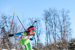 31.01.2021, xtwx, Biathlon IBU European Championships Duszniki Zdroj, Single Mixed Staffel, v.l.   /