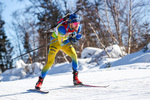 31.01.2021, xtwx, Biathlon IBU European Championships Duszniki Zdroj, Single Mixed Staffel, v.l. Torstein Stenersen (Sweden)  /