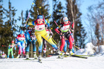 31.01.2021, xtwx, Biathlon IBU European Championships Duszniki Zdroj, Mixed Staffel, v.l. Elisabeth Hoegberg (Sweden)  /