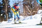 31.01.2021, xtwx, Biathlon IBU European Championships Duszniki Zdroj, Mixed Staffel, v.l. Anna Magnusson (Sweden)  /