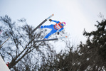 31.01.2021, xtvx, Skispringen FIS Weltcup Willingen, v.l. Viktor Polasek (Czech Republic)  /