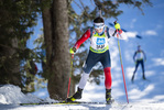 19.12.2021, xsoex, Biathlon Alpencup Pokljuka, Sprint Men, v.l. Maximilian Kollmeier  (Germany)  / 