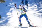 19.12.2021, xsoex, Biathlon Alpencup Pokljuka, Sprint Men, v.l. Korbinian Kuebler  (Germany)  / 