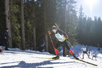 19.12.2021, xsoex, Biathlon Alpencup Pokljuka, Sprint Men, v.l. Emil Koch  (Germany)  / 